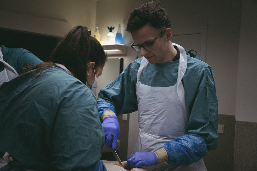 Heiða Helgadóttir - myndaröð ársins - mynd 2