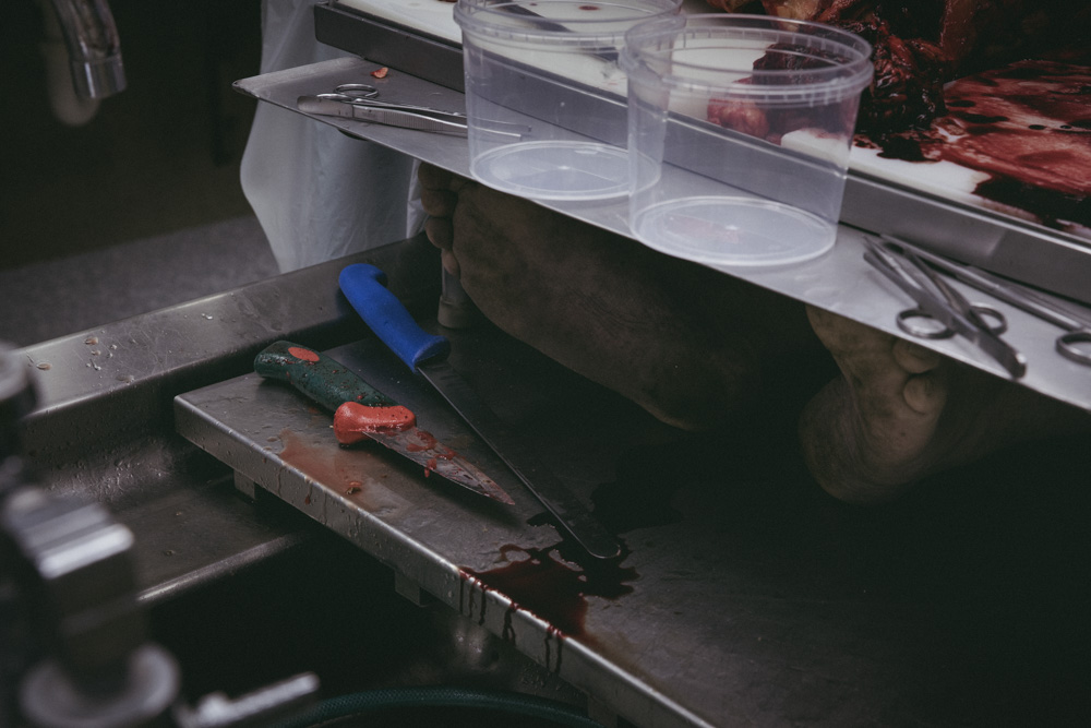 Heiða Helgadóttir - myndaröð ársins - mynd 3