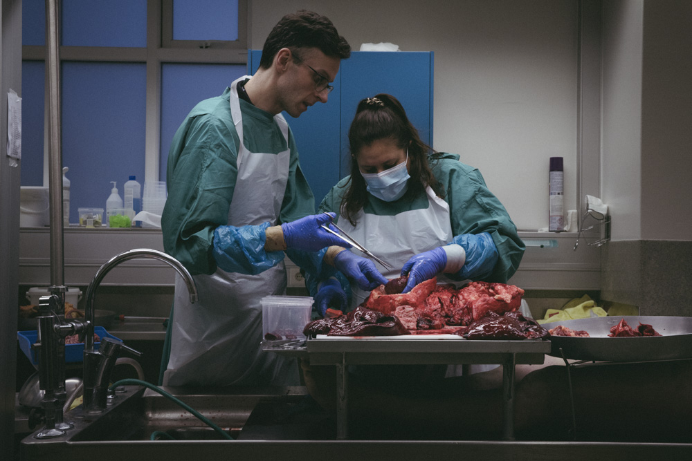 Heiða Helgadóttir - myndaröð ársins - mynd 4