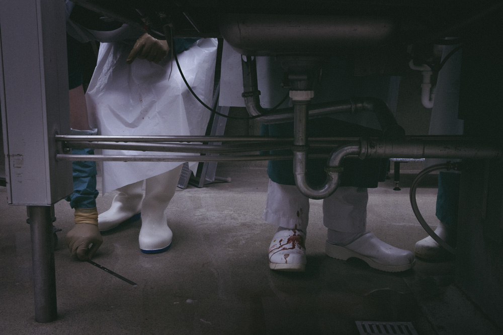 Heiða Helgadóttir - myndaröð ársins - mynd 5