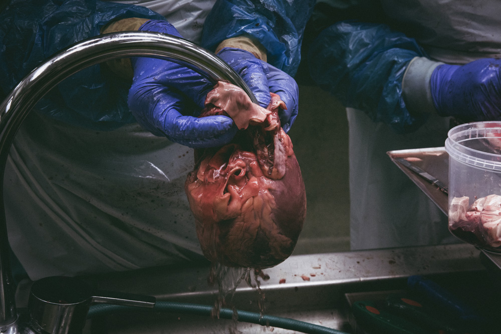 Heiða Helgadóttir - myndaröð ársins - mynd 6