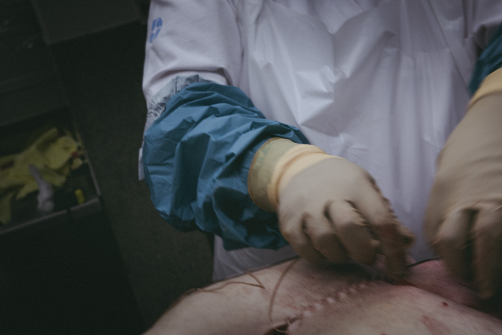 Heiða Helgadóttir - myndaröð ársins - mynd 7