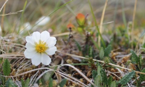 Mynd: Ferðamálastofa