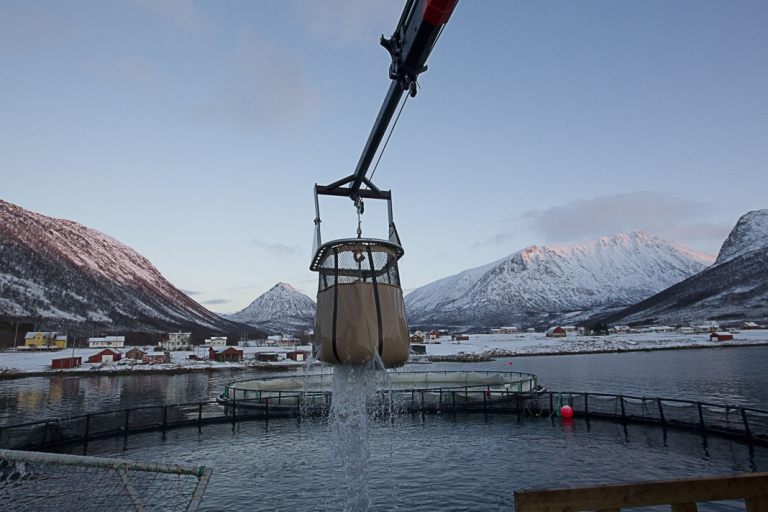 Mynd: Terje Bendiksby / NTB Scanpix